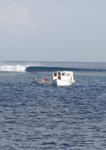 MALDIVAS SURF CAMP Galeria