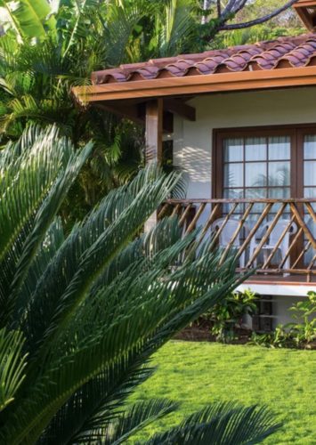 Panamá Secret Waves com Aprimore Galeria