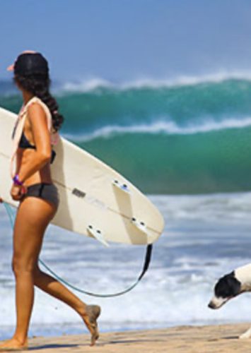 Costa Rica Open Voucher Galeria