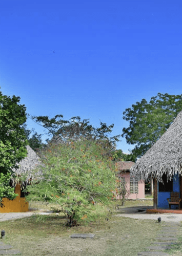 Costa Rica Open Voucher Galeria