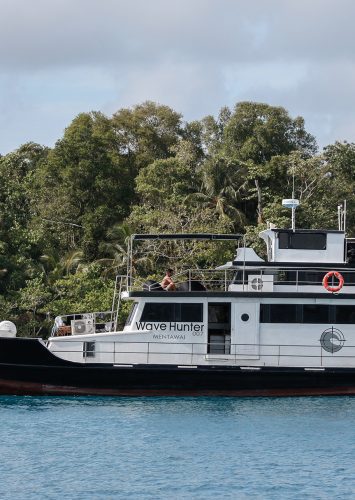 Wave Hunter Galeria