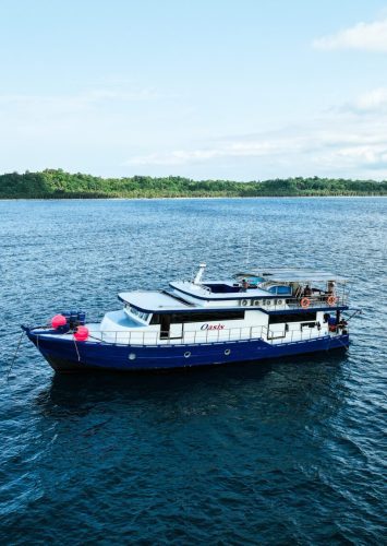 Oasis Charters Mentawai Galeria