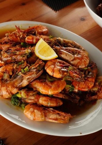 Oasis Charters Mentawai Galeria