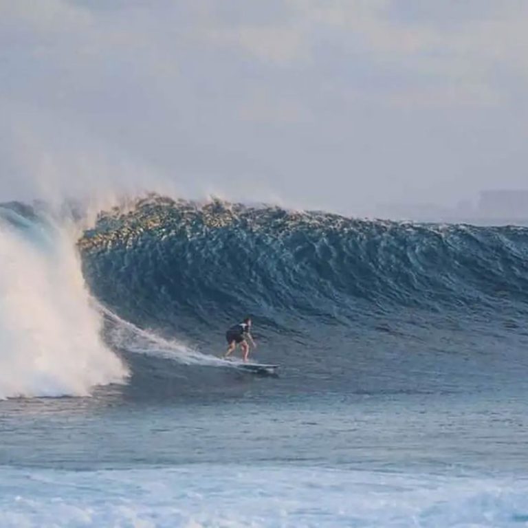 Galeria-Surf_1600x800px_06