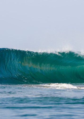 Infinity Surf Resorts Galeria