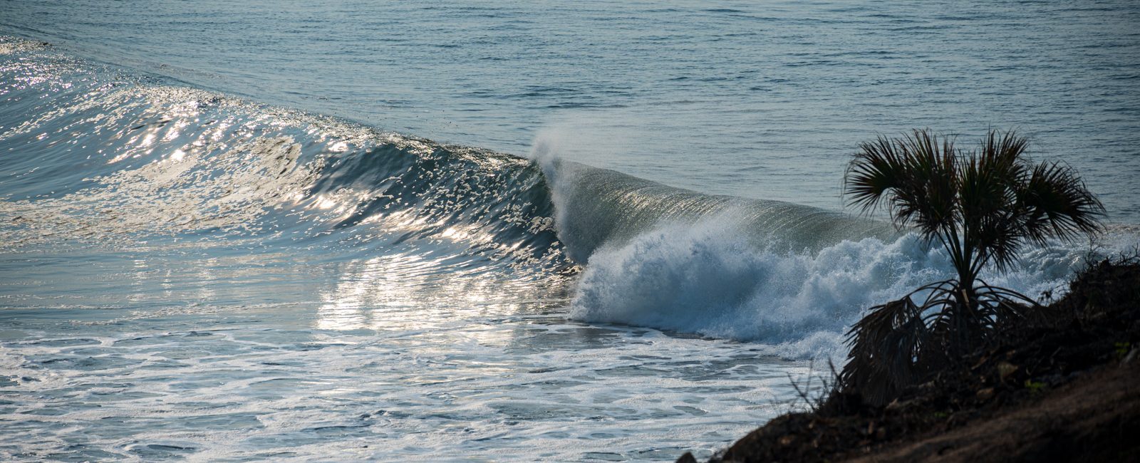 Infinity Surf Resorts