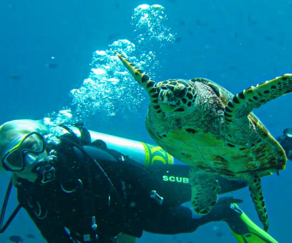 Scuba