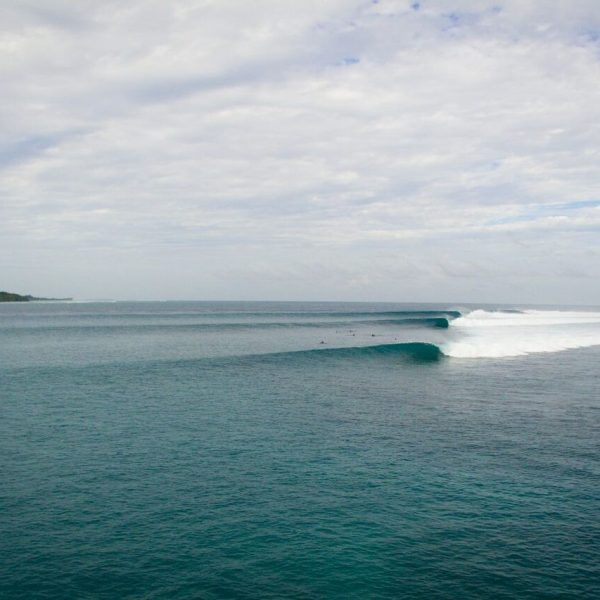 waves-awera8